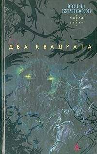 Юрий Каменский - Чиновник для особых поручений