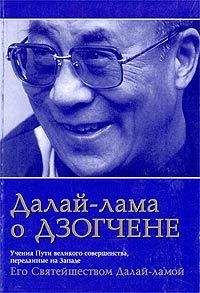 Дзонгсар Кхьенце - Не счастья ради. Руководство по так называемым предварительным практикам тибетского буддизма