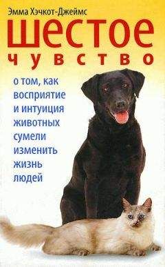 Джон МакКормак - Айболит из Алабамы. Героические будни сельского ветеринара