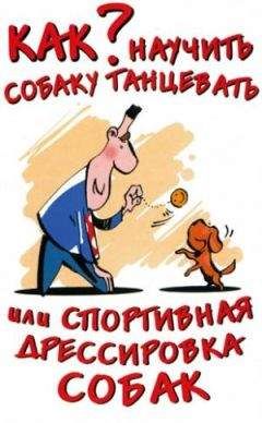 Наталья Сухинина - Кормление собак