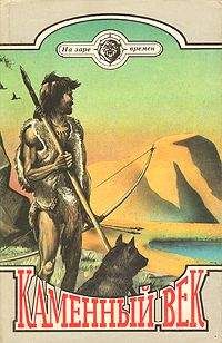 Арне Фальк-Рённе - Путешествие в каменный век, Среди племен Новой Гвинеи