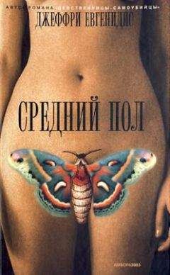 Аноним Бандильерос - Звезда по имени...