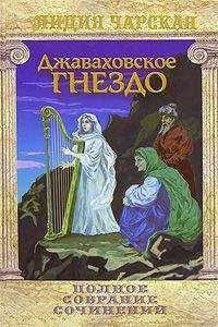Лидия Чарская - Большой Джон