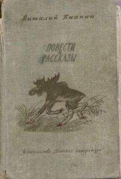 Алексей Ливеровский - Охотничье братство