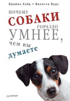 Джейсон Фанг - Дикий гормон. Удивительное медицинское открытие о том, как наш организм набирает лишний вес, почему мы в этом не виноваты и что поможет обуздать свой аппетит