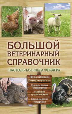 Лариса Конева - Прибыльное разведение кур, уток, гусей и индюшек. Содержание и уход