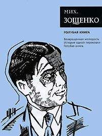 Михаил Бару - Записки понаехавшего