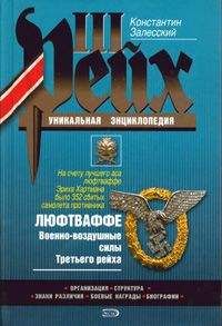 Василий Веденеев - 100 великих тайн Третьего рейха