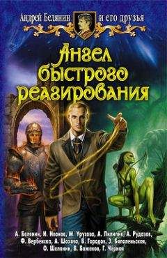 Александр Рудазов - Совет двенадцати