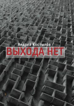 Андрей Пшеничников - Ветер в кулере. Жизнь автора в интернете