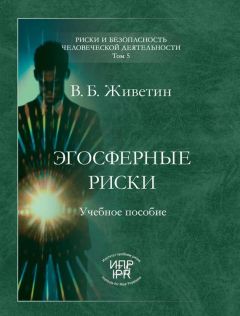 Владимир Живетин - Эгосферные риски