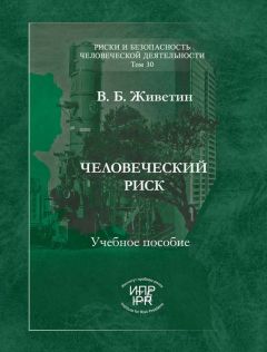 Владимир Живетин - Социосферные риски