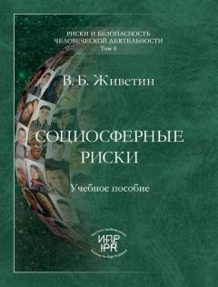 Владимир Живетин - Социосферные риски