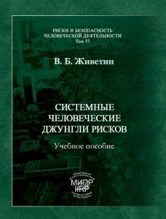 Владимир Живетин - Социосферные риски