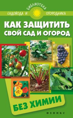 Александр Кородецкий - Безотвальная обработка почвы на приусадебном участке: умные агротехнологии