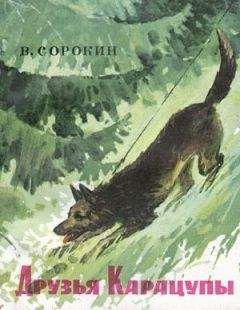 В. Шестаков - Хочу собаку. Советы начинающему собаководу-любителю (Сборник)