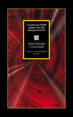 Эрвин Ласло - Революция сознания. Трансатлантический диалог