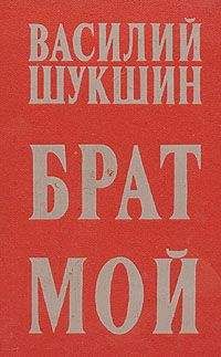 Василий Шукшин - Жил человек...