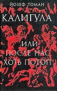 Роже Мартен дю Гар - Семья Тибо.Том 1