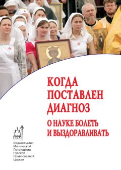  Коллектив авторов - Ферапонтовский сборник. VIII