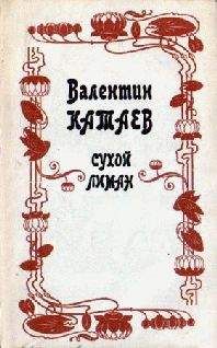 Андре Бринк - Сухой белый сезон