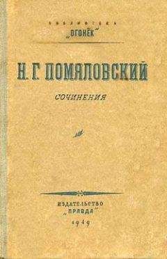 Николай Гейнце - Портрет