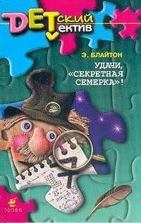 Энид Блайтон - Приключения «Секретной семерки»