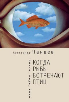 Владимир Полудняков - Эссе председателя городского суда Санкт-Петербурга