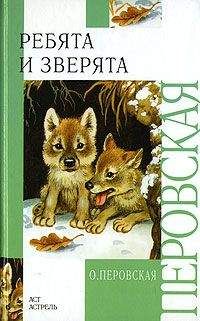 Ганна Ожоговская - Чудо-юдо, Агнешка и апельсин