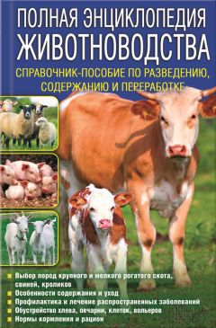 Александр Мясников - Энциклопедия доктора Мясникова о самом главном. Том 3