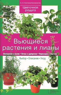 Наталия Костина-Кассанелли - Комнатные деревья и кустарники