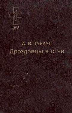 Петр Котельников - Керчь в огне. Исторический роман