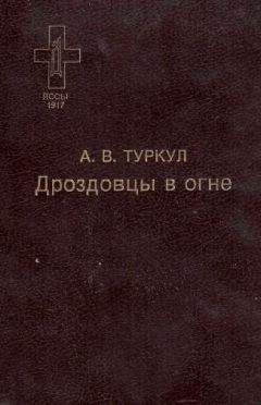 Иван Якубовский - Земля в огне