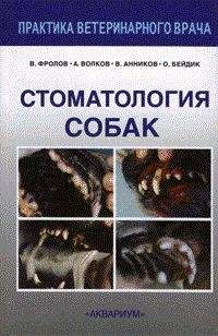 Андрей Иорданишвили - Стоматологическая реабилитация: ошибки и осложнения