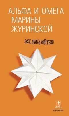 Владимир Полудняков - Эссе председателя городского суда Санкт-Петербурга