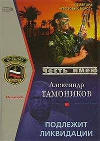 Александр Тамоников - Расстрельная сага