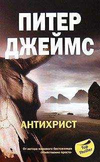 Питер Джеймс - Искушение