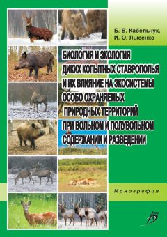 Илья Адияков - От Самариных до наших дней. В цвете