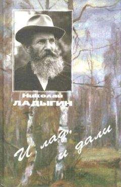 Николай Векшин - Стишки и в шутку и всерьез