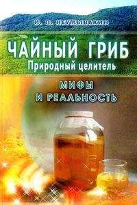 Иван Дубровин - Все об обычном чае
