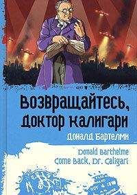 Бат-Шева Краус - Израильская литература в калейдоскопе. Книга 1