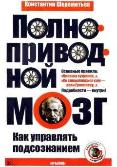 Александр Попов - Тайны человеческого мозга