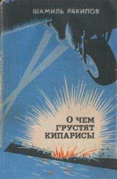 Николай Бирюков - Чайка