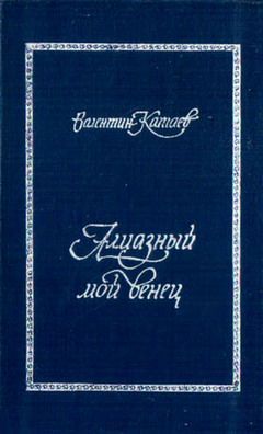 Сергей Шаргунов - Катаев. Погоня за вечной весной