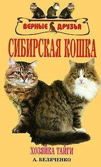 Людмила Антонова - Уход за домашними кошками