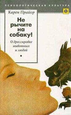 Юлия Улыбина - Как контролировать свои эмоции