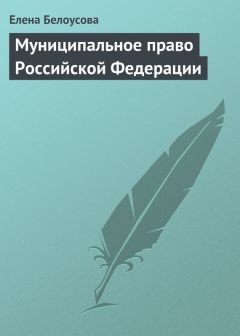 Всеволод Васильев - Муниципальное право России