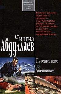 Десмонд Бэгли - Канатоходец