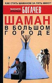 Александр Свияш - Как получать информацию из тонкого мира