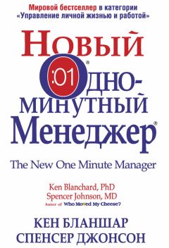 Бет Симон Новек - Умные граждане – умное государство